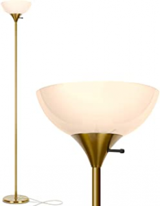 Dimmable Floor Lamp