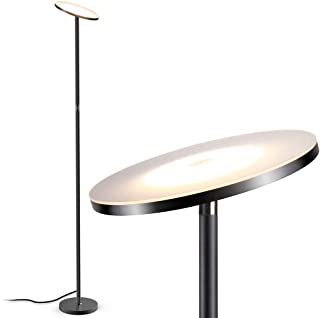 Floor Lamp Led Torchier