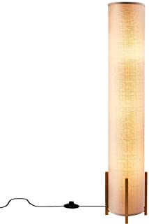 https://whichhomeautomation.com/images/floor-lamp-amumo-modern-led-floor-lamps.png